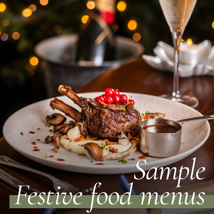 View our Christmas & Festive Menus. Christmas at The Washington in London