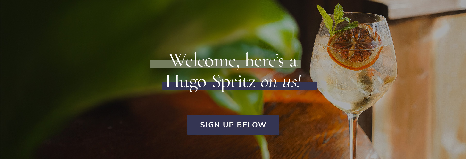 Sign up to the newsletter at The Washington